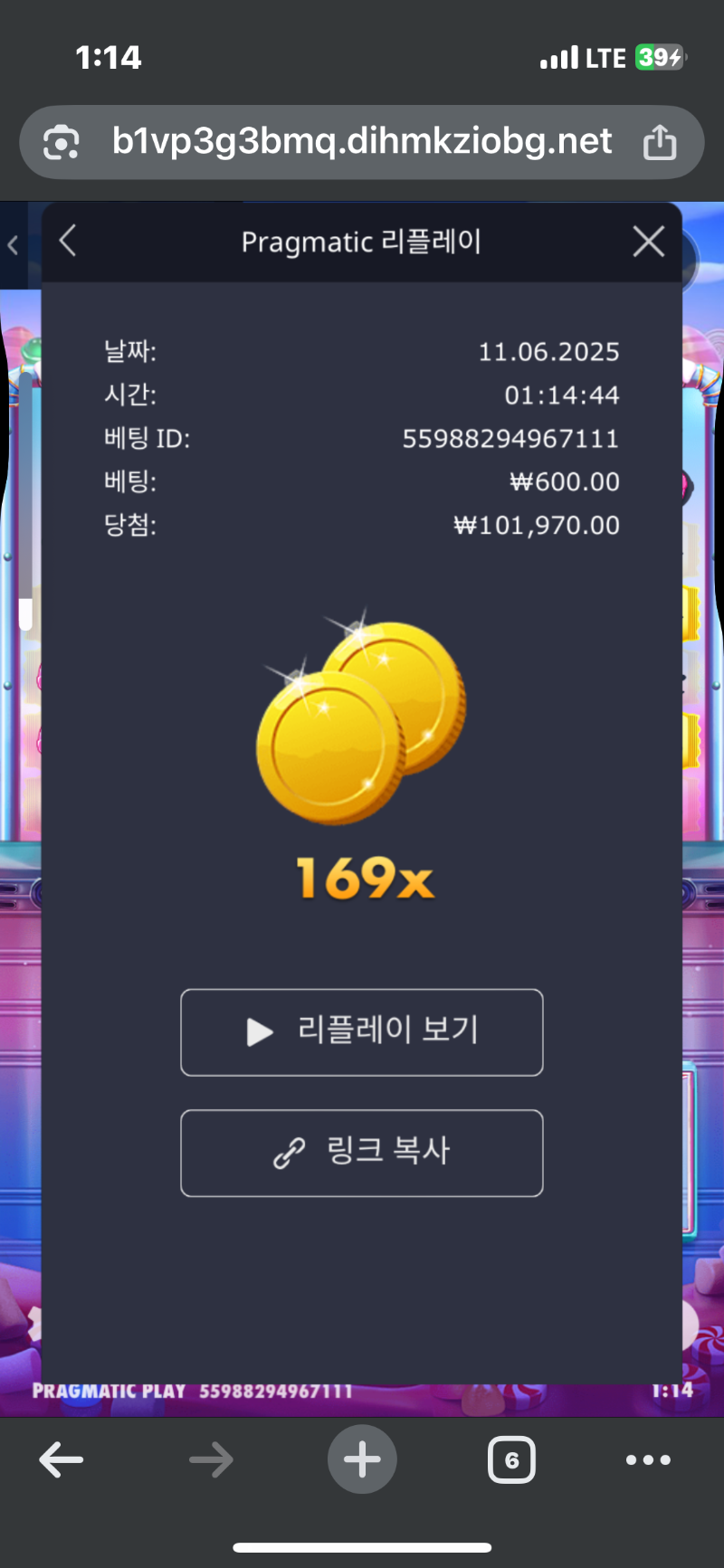 슈가 169배