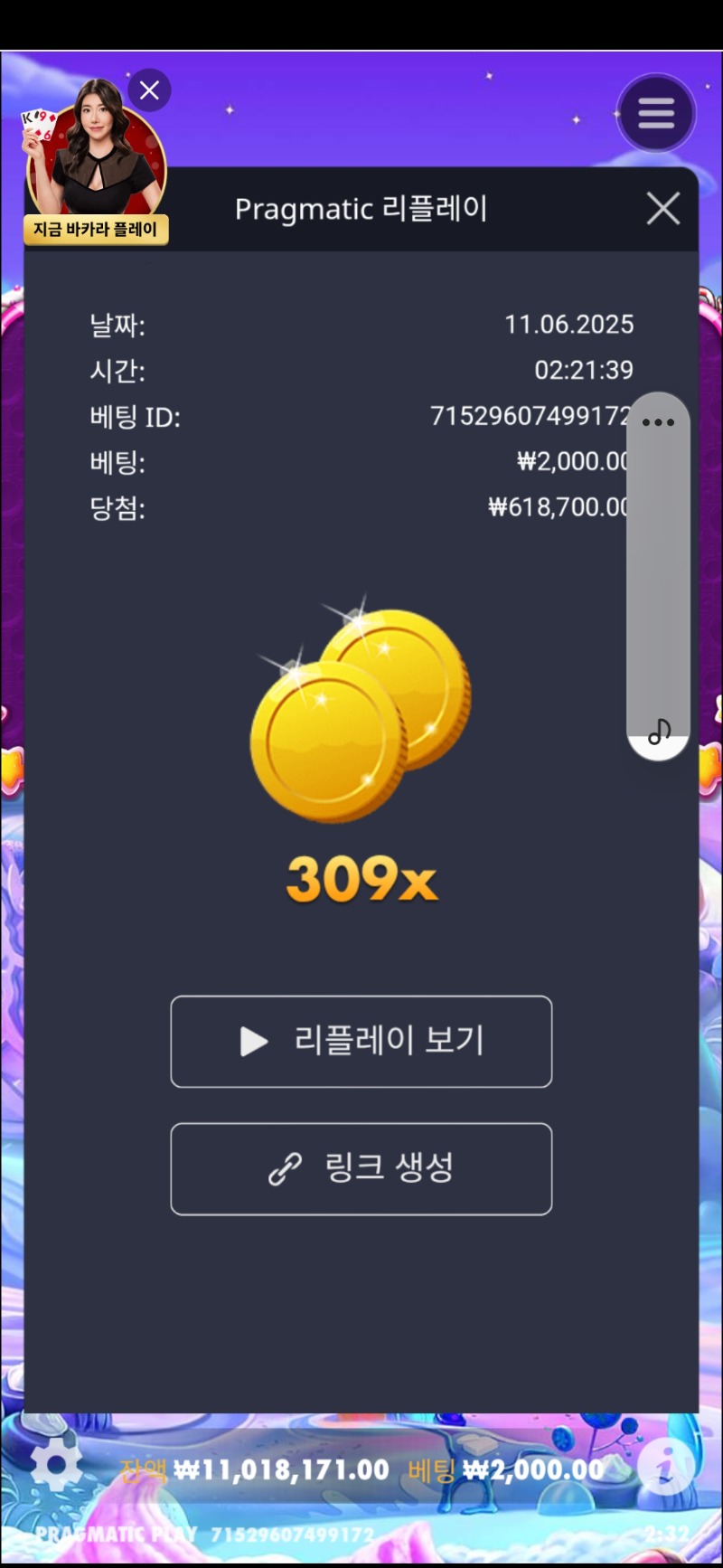 보난자 309