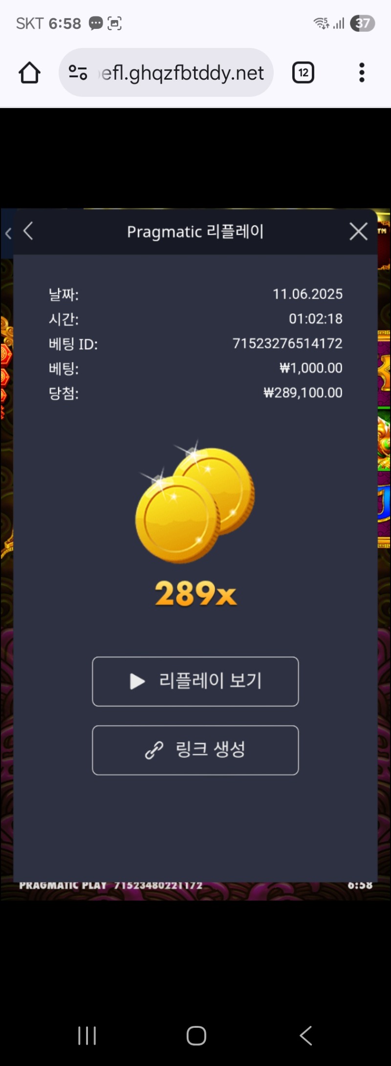토라메289배