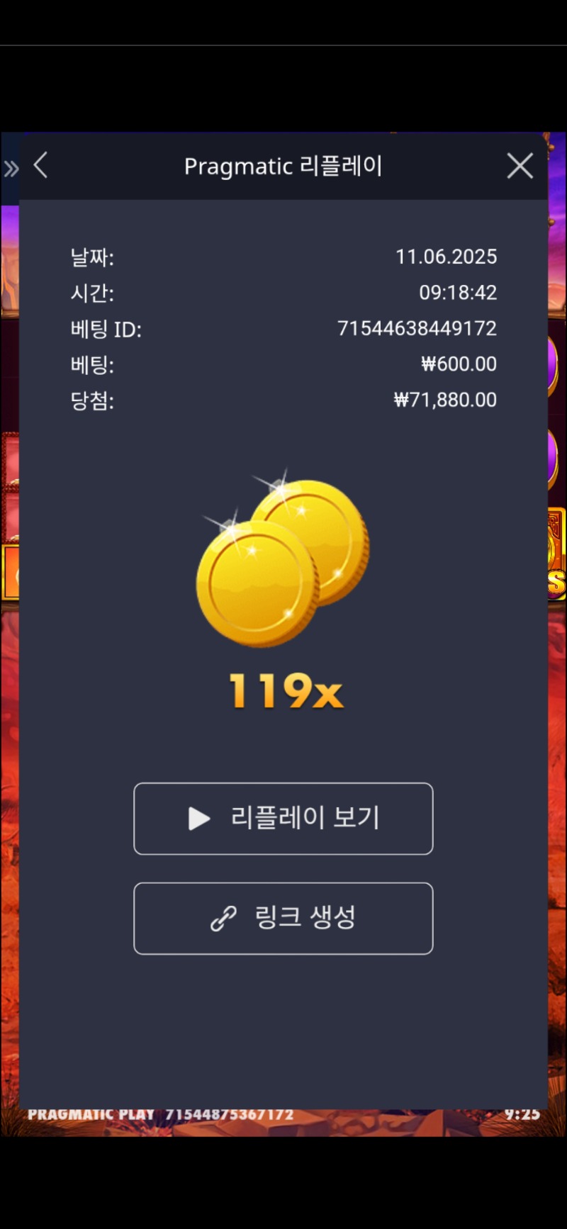 버메가 119배