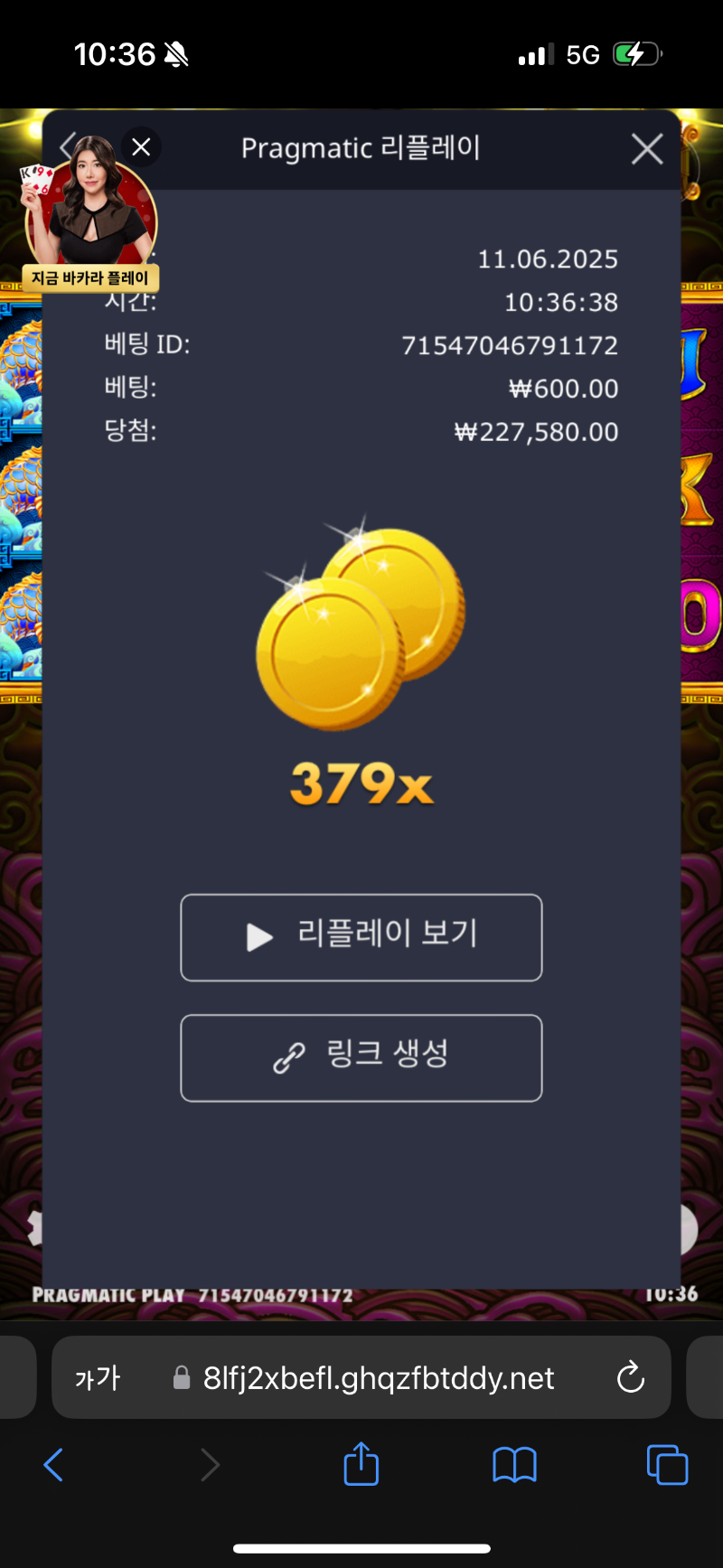 토라메 379배