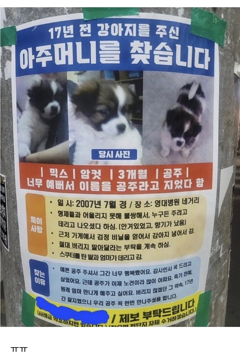 강아지를 주신 아주머니를 찾습니다