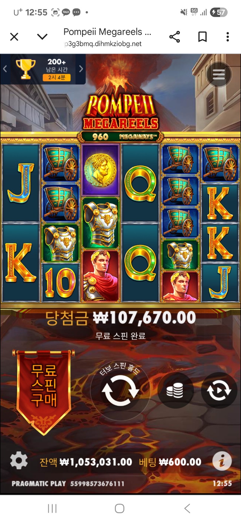 폼페이 179배
