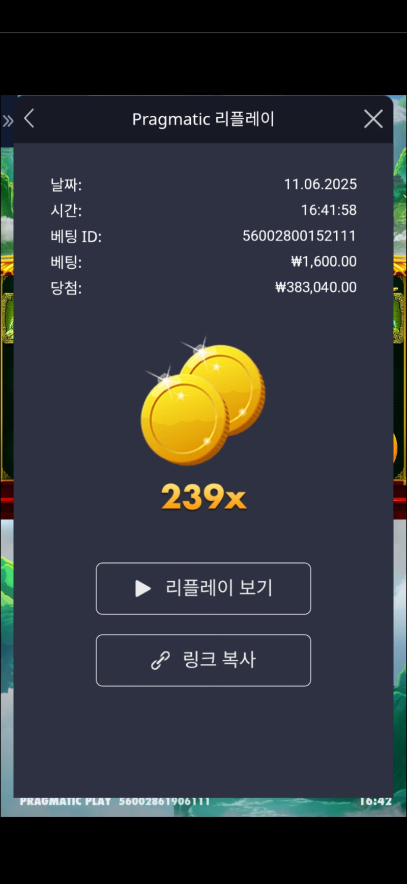 판다2 239배