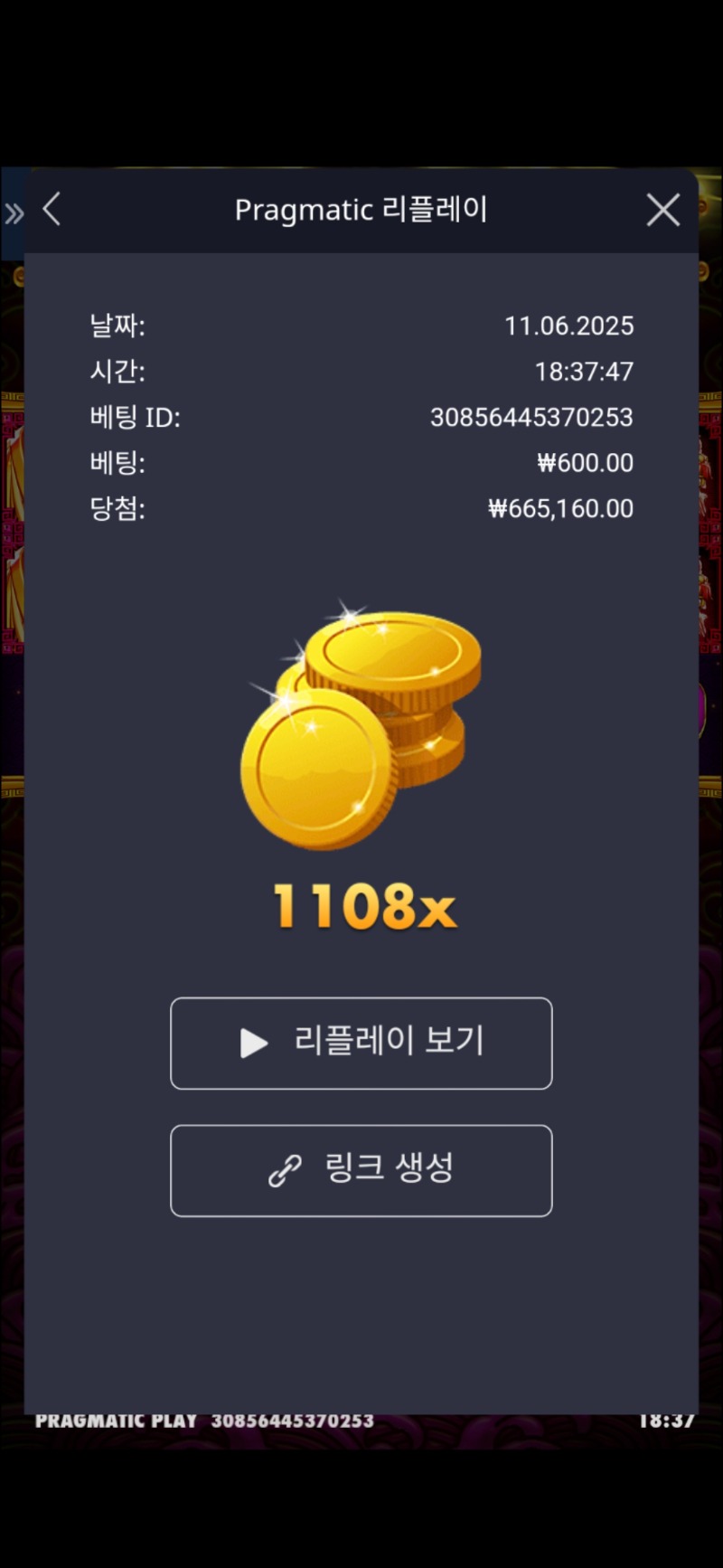 토라메1108배