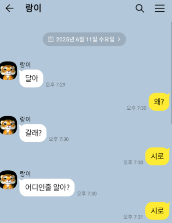 랑이가 자꾸 어디 가자고 해요!!