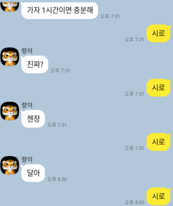 랑이가 자꾸 어디 가자고 해요!!