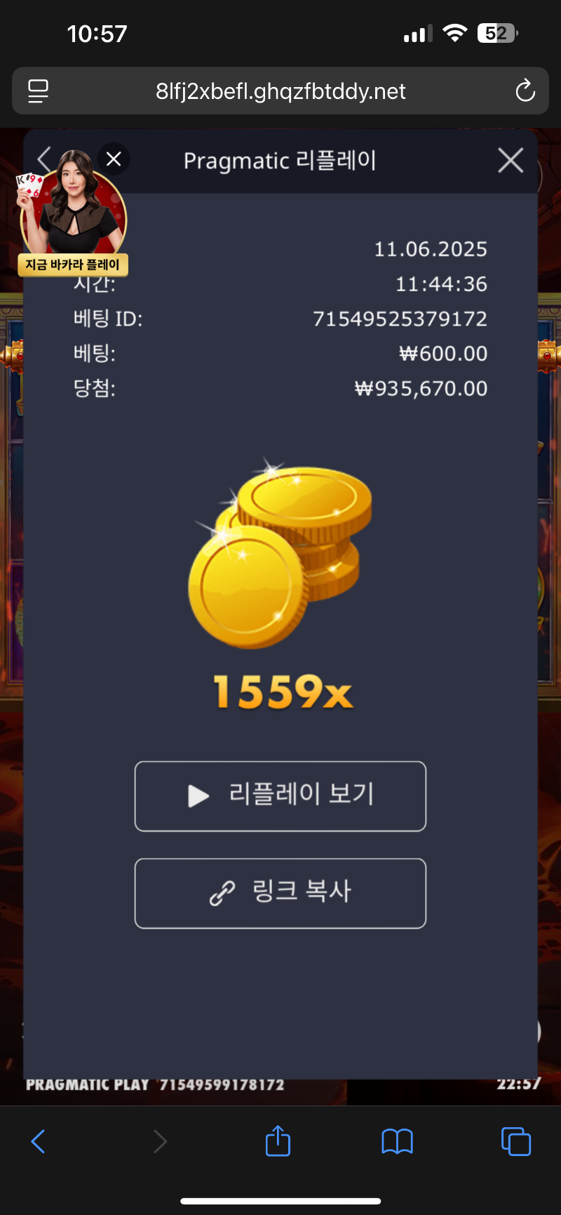 폼페이 1559배