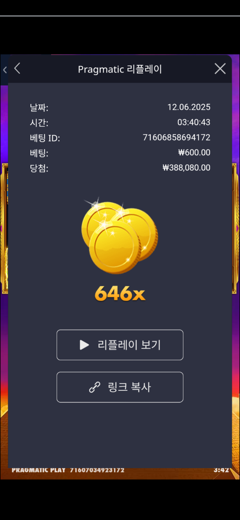 포춘기자 646배