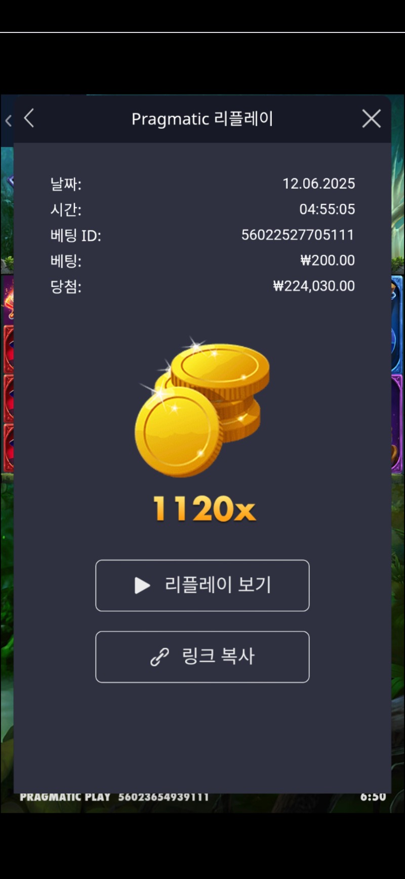 멀린 1120배