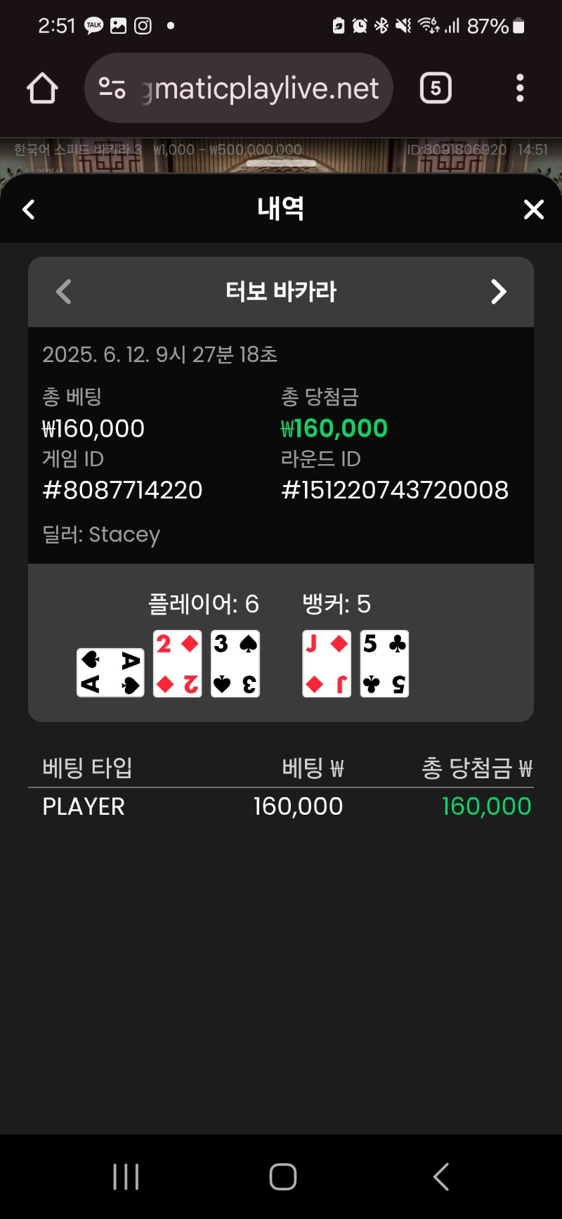 플라그마틱 입문