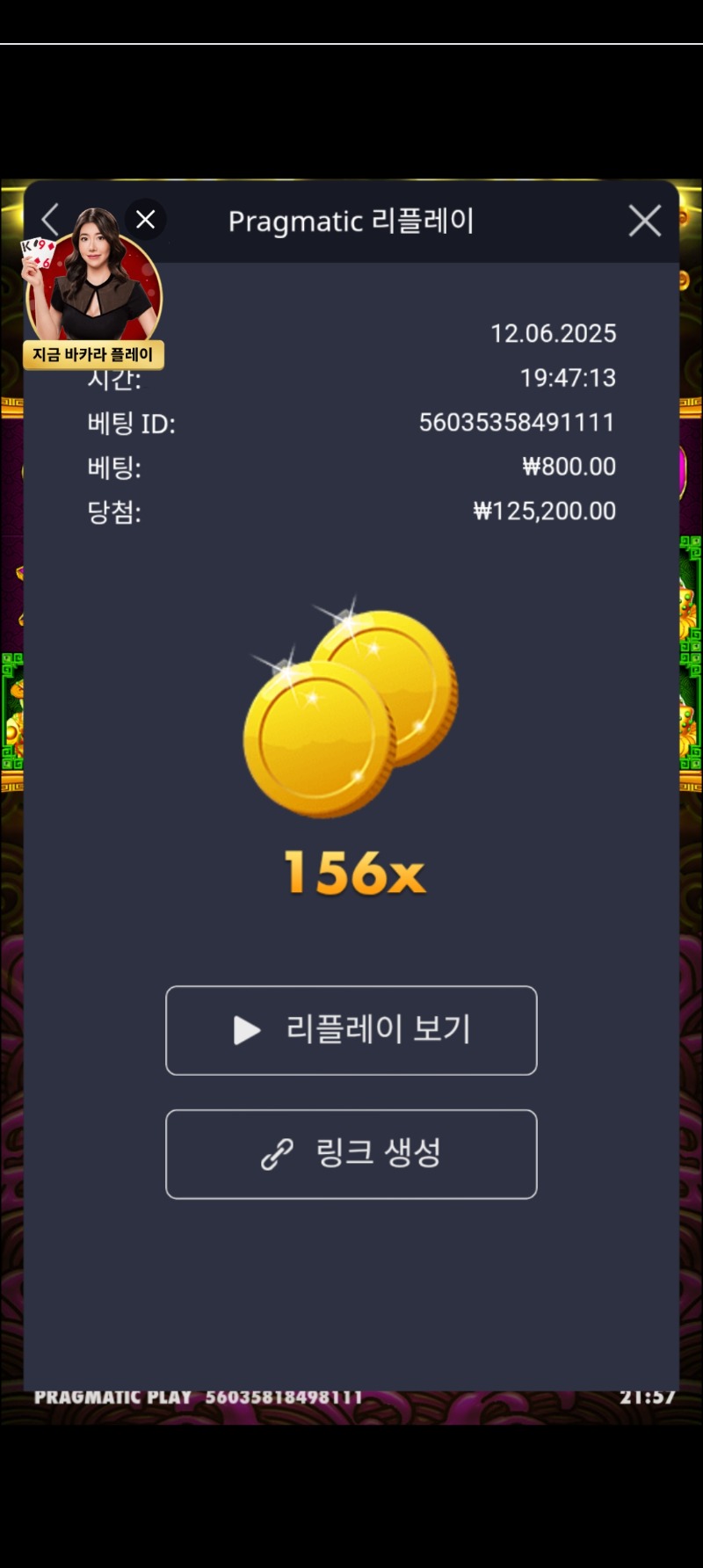 토라메 156배