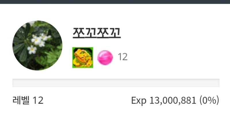 레벨업~~~~