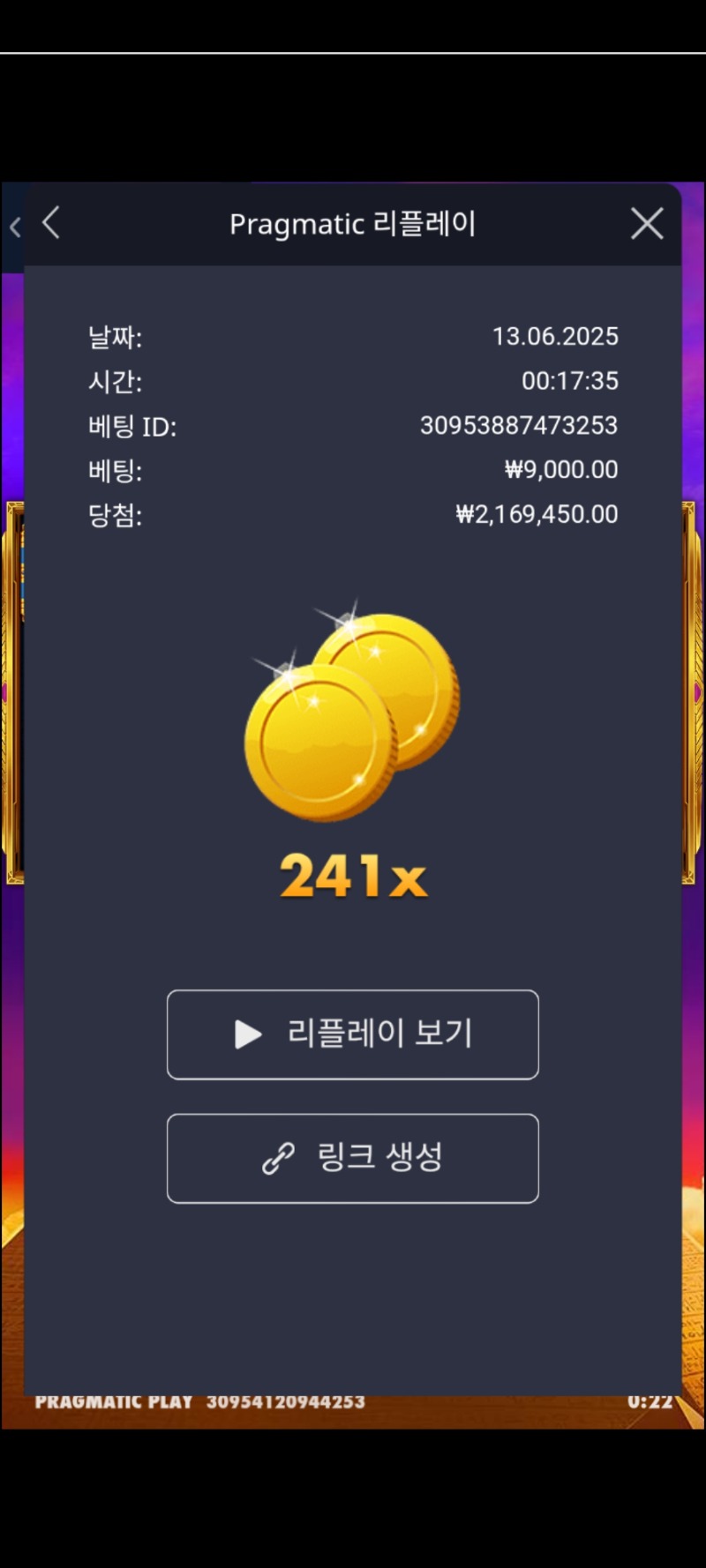 포츈오브기자241배