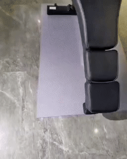 헬스하는 양이