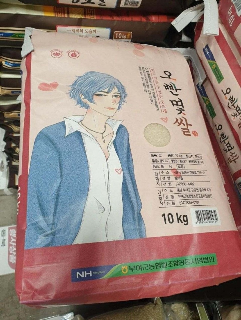 요즘 쌀 근황