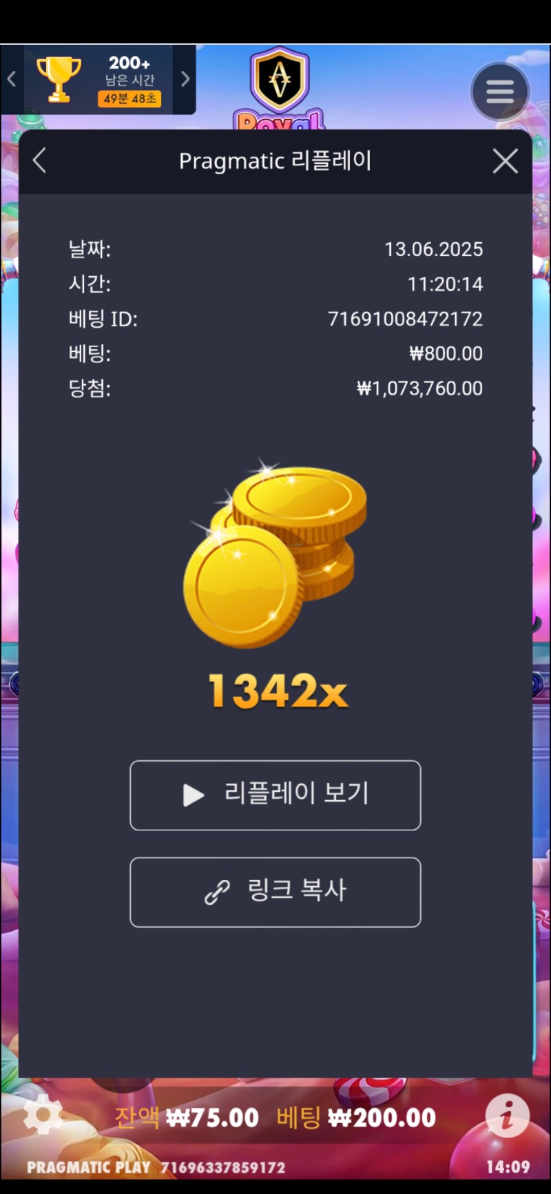 로얄 슈가1000 1342배