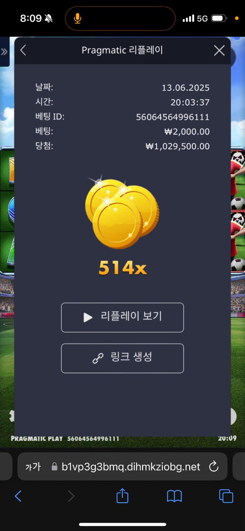 수익왕 입상각이다