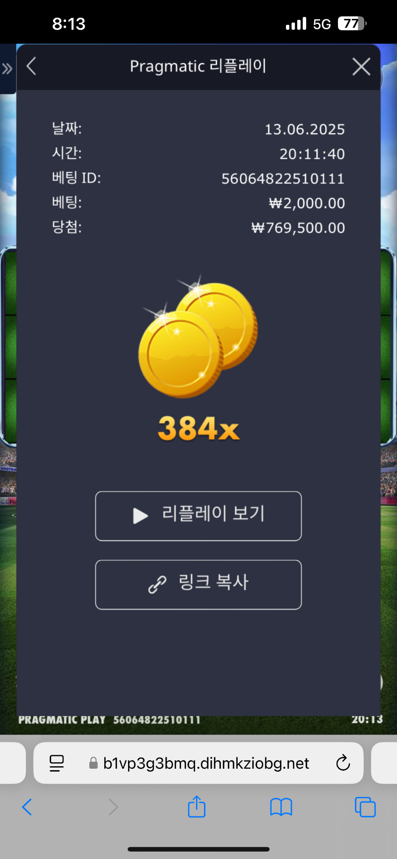 수익왕 384배