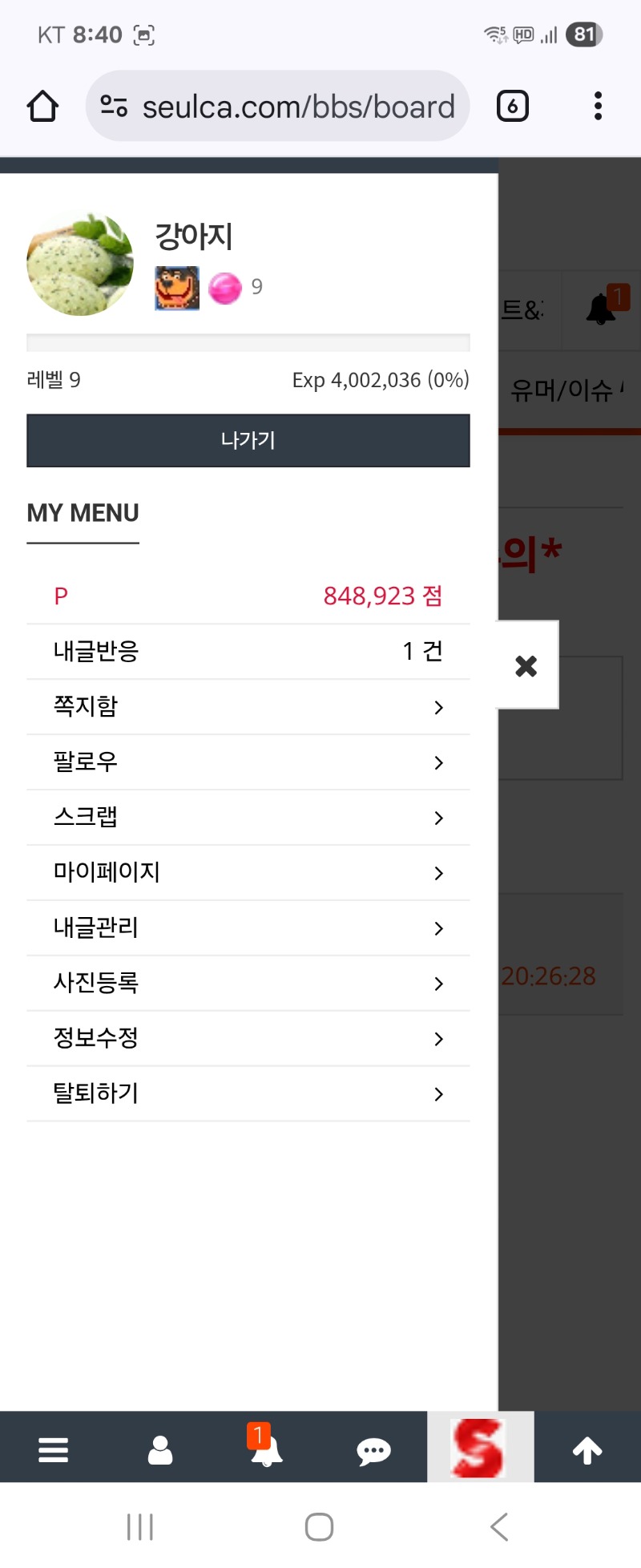 댓글 씀ㆍ재미나게 놀다보니 어느새 레벨 업^^
