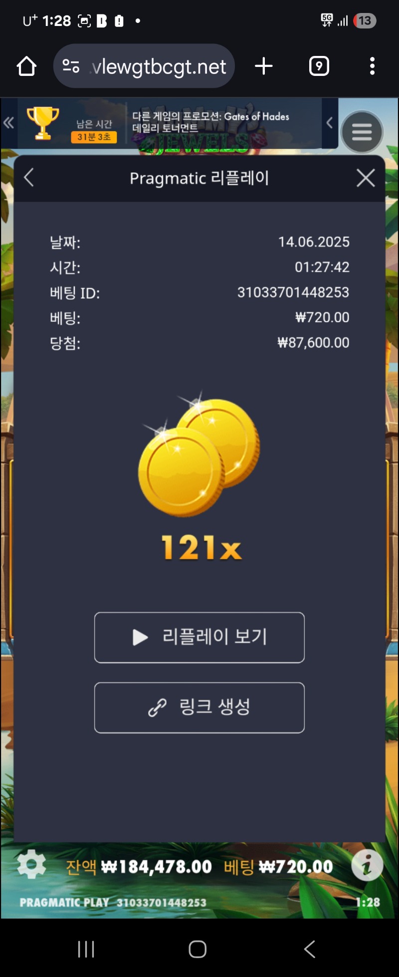 미라의보석 121배