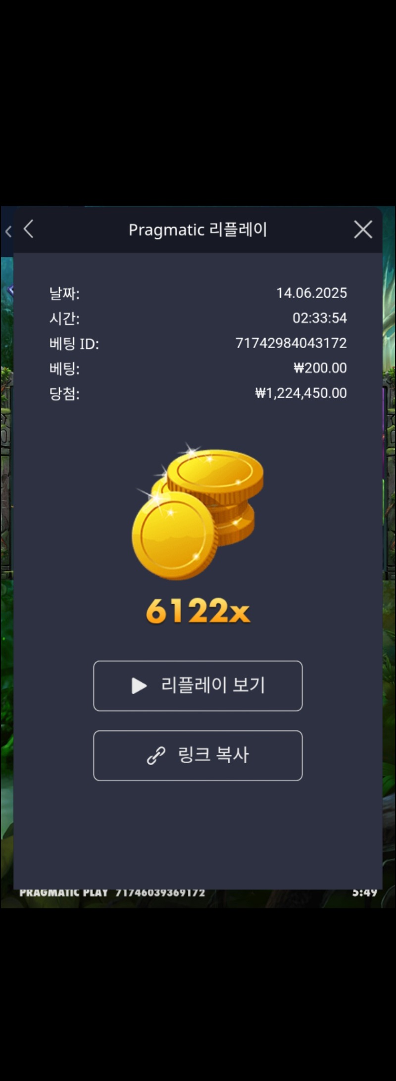 멀린6122배