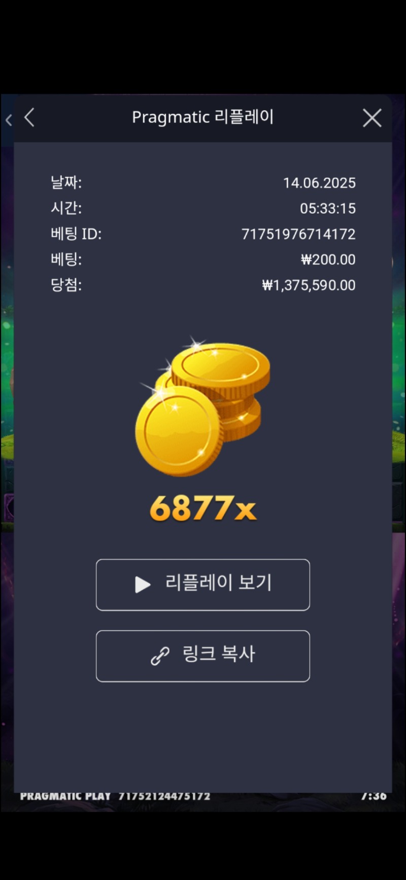 멀린 6877배