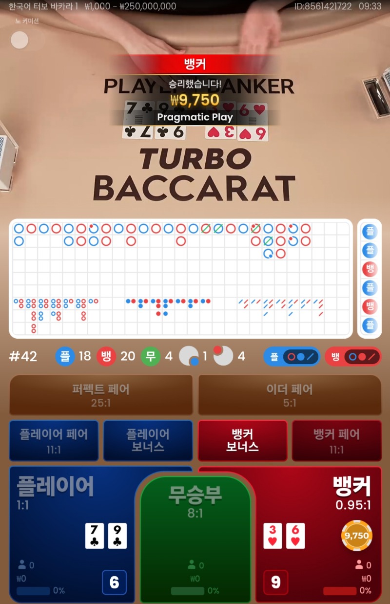 벵커승 ~~~~~~~