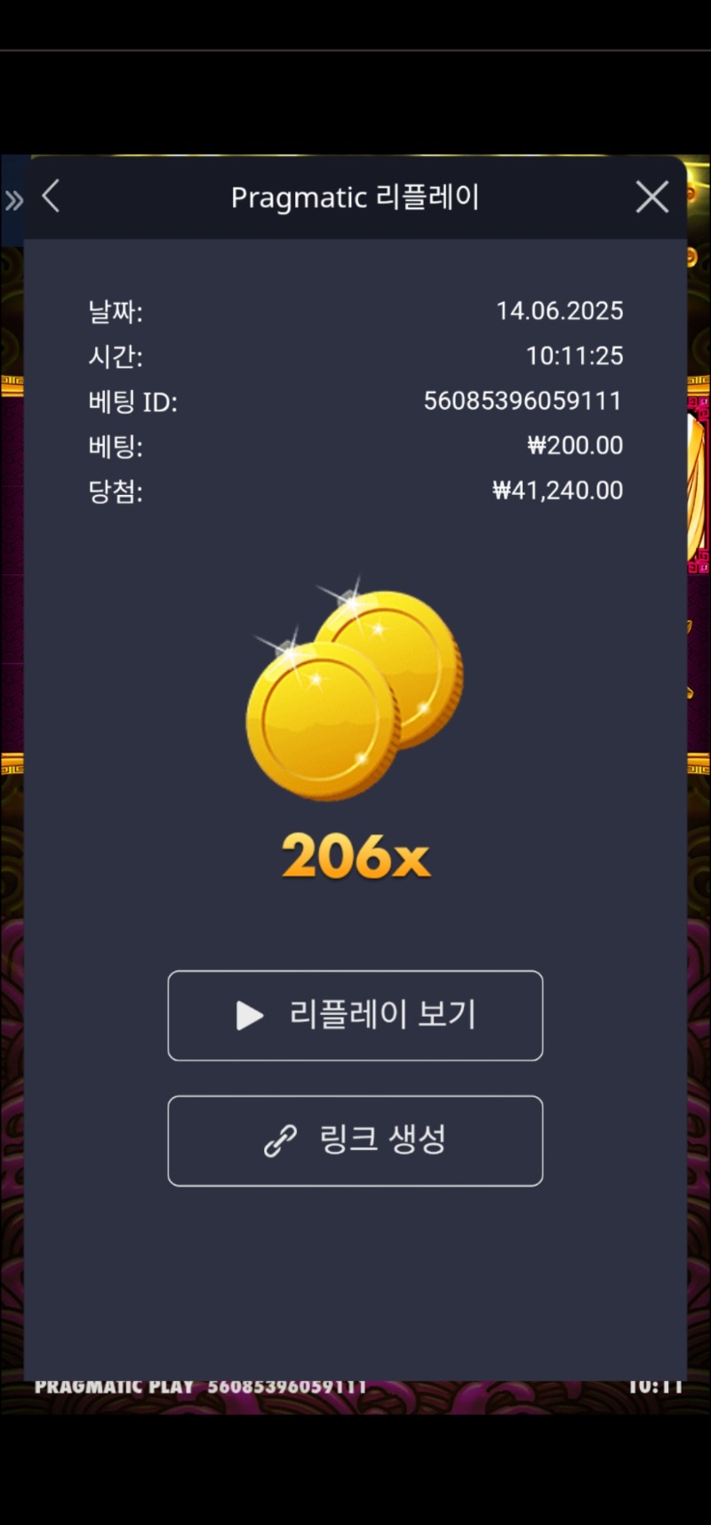 토라메 206배