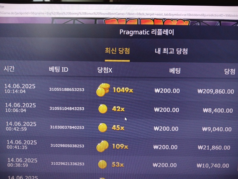 빅베스복싱