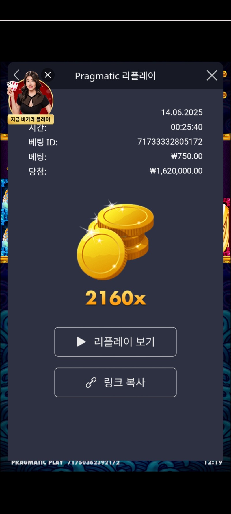 오라매 맨바닥 2160배