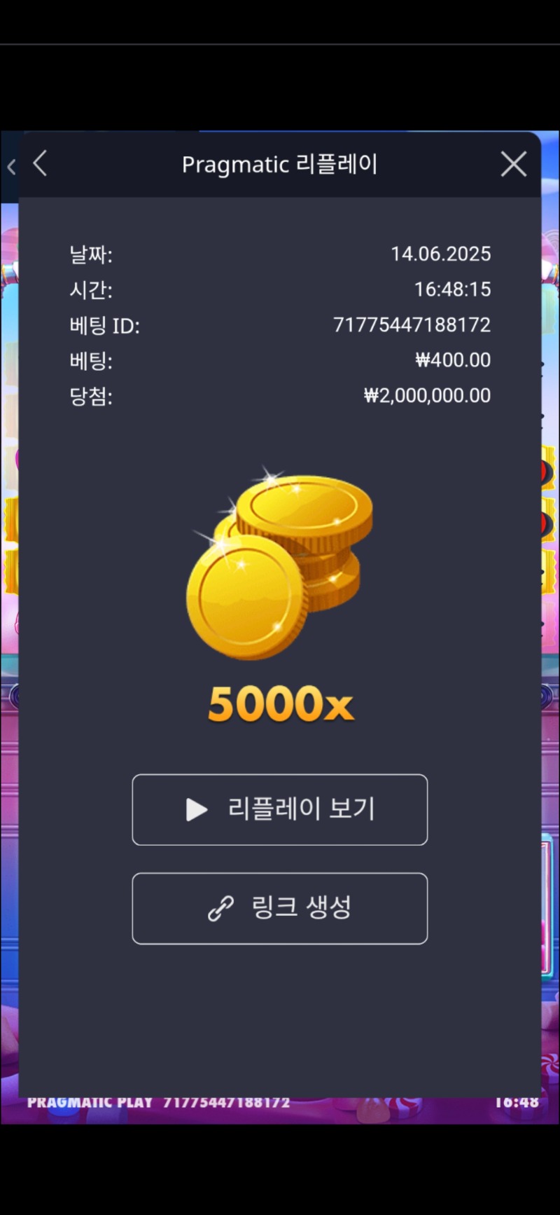 일반슈가러쉬 맥스배당 5000배