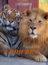 형제들 이러고 다녀에~~~~!!!!!
