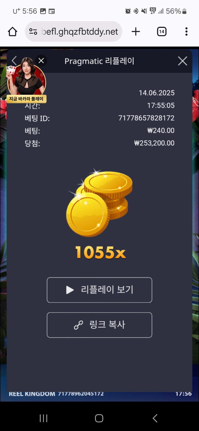 트로피카나  1055배요~~