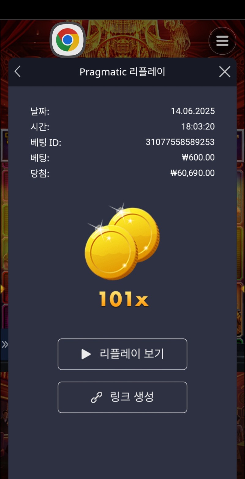 카지노 101배