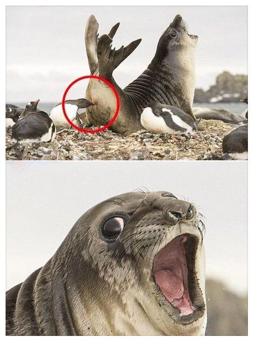 퀑 밥믁좌!!!