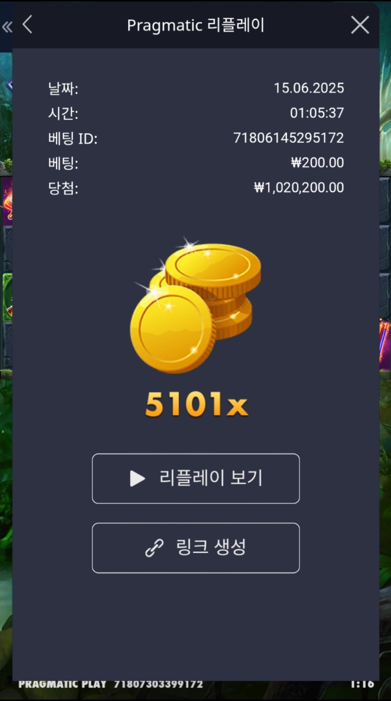 멀린5101배