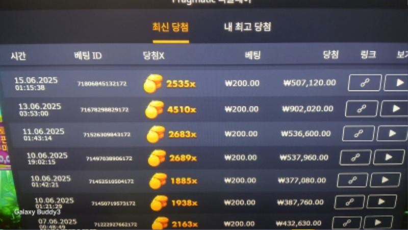 멀린2535배