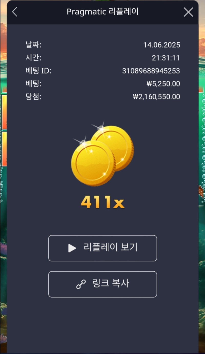 베스 천 411배