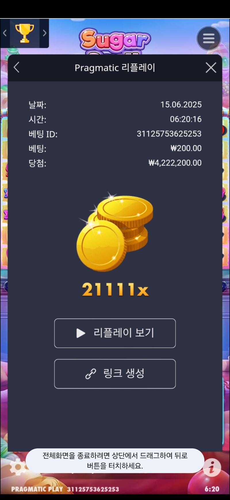 슈가1000 21111배