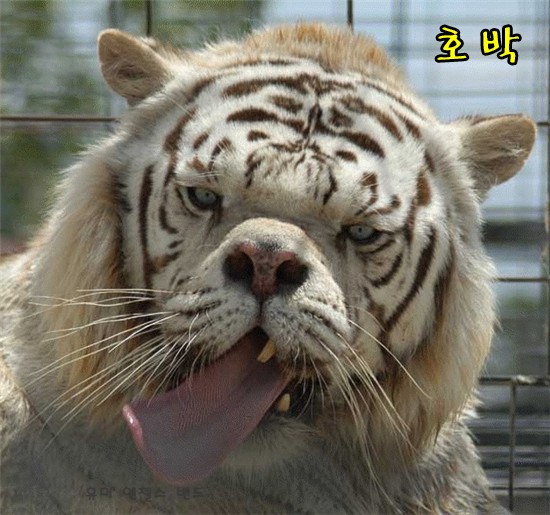 날은 더운데