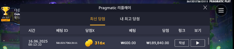 멀린 316배