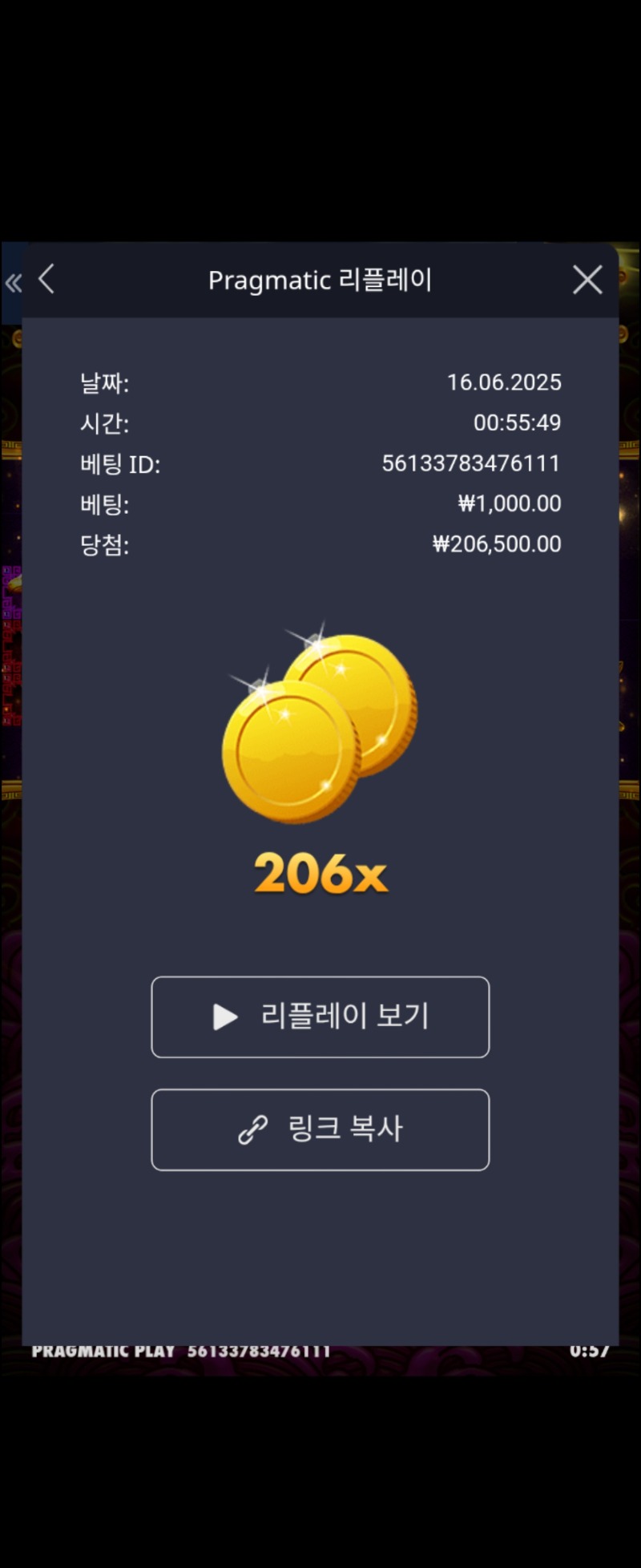 토라메 206