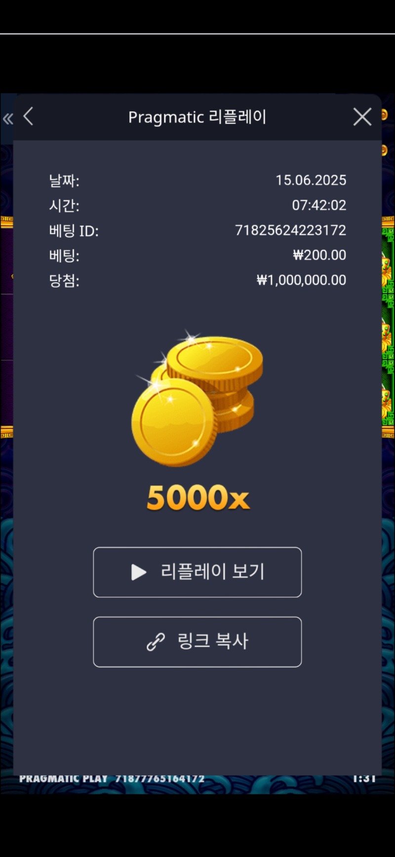오라메 5000배