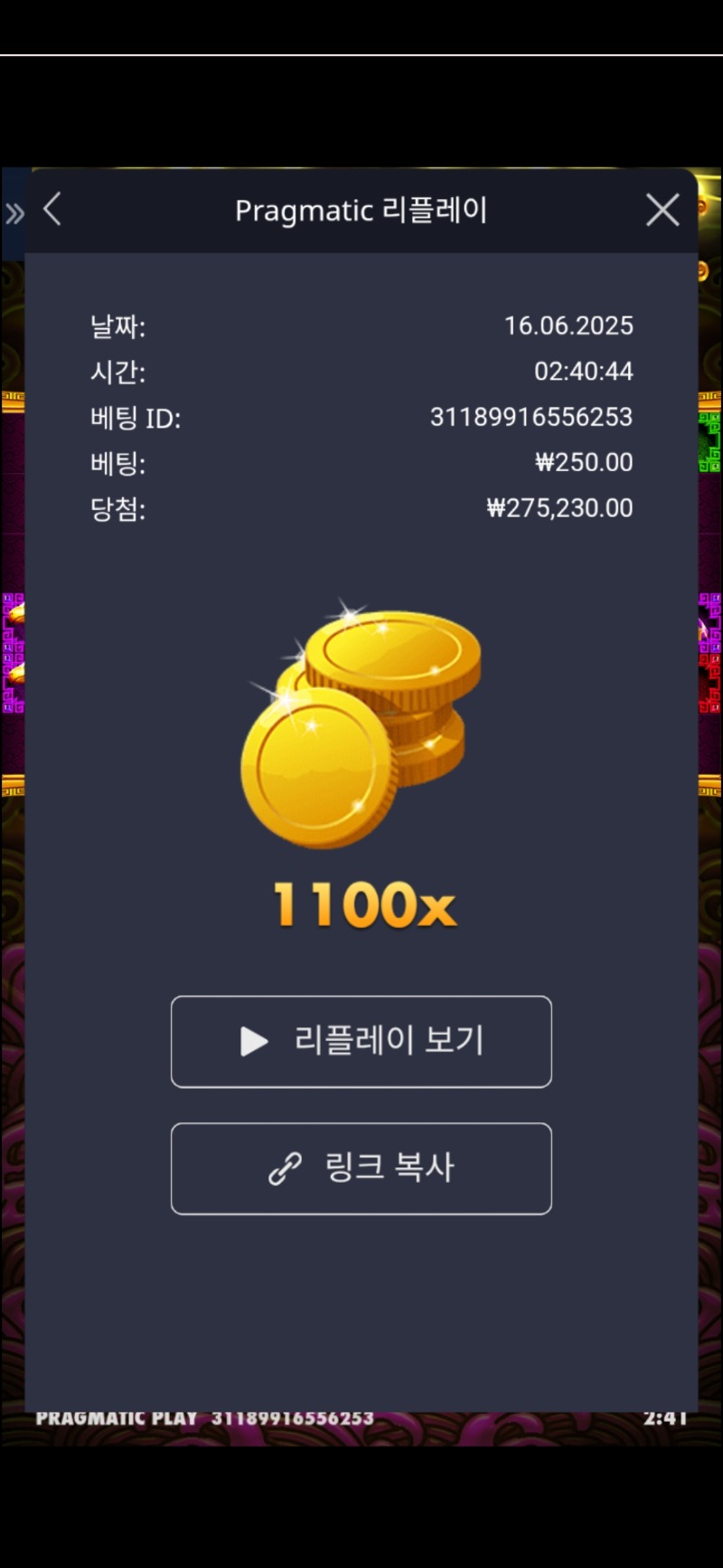 토라메 1100배