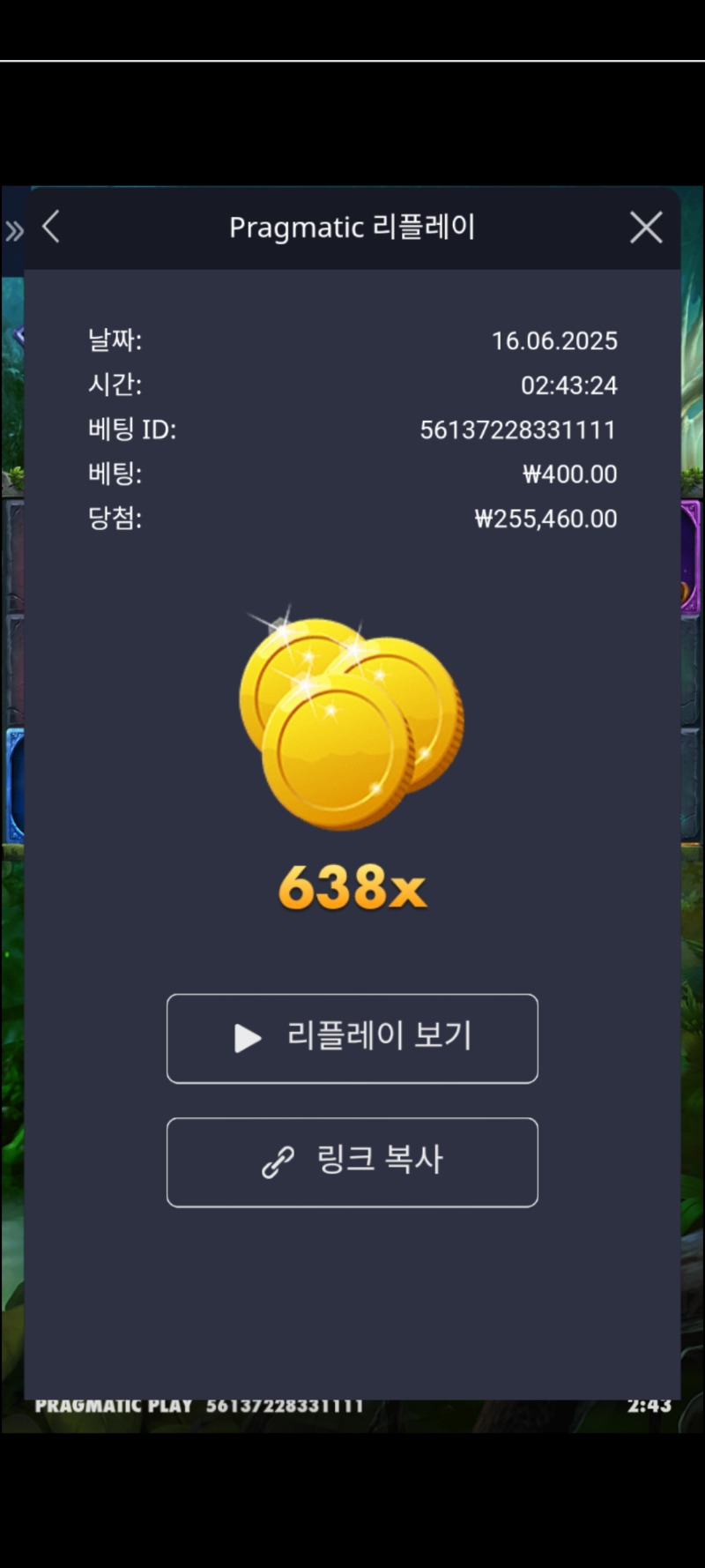 멀린 638배 죽자 할배야