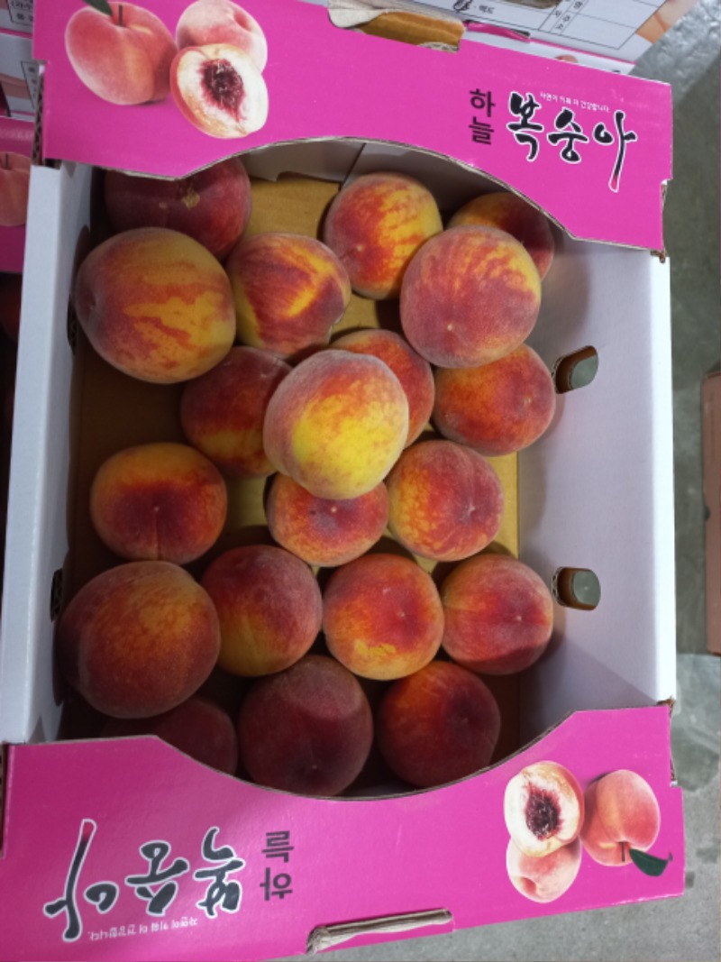 복숭아..철이 돌아왔네요.