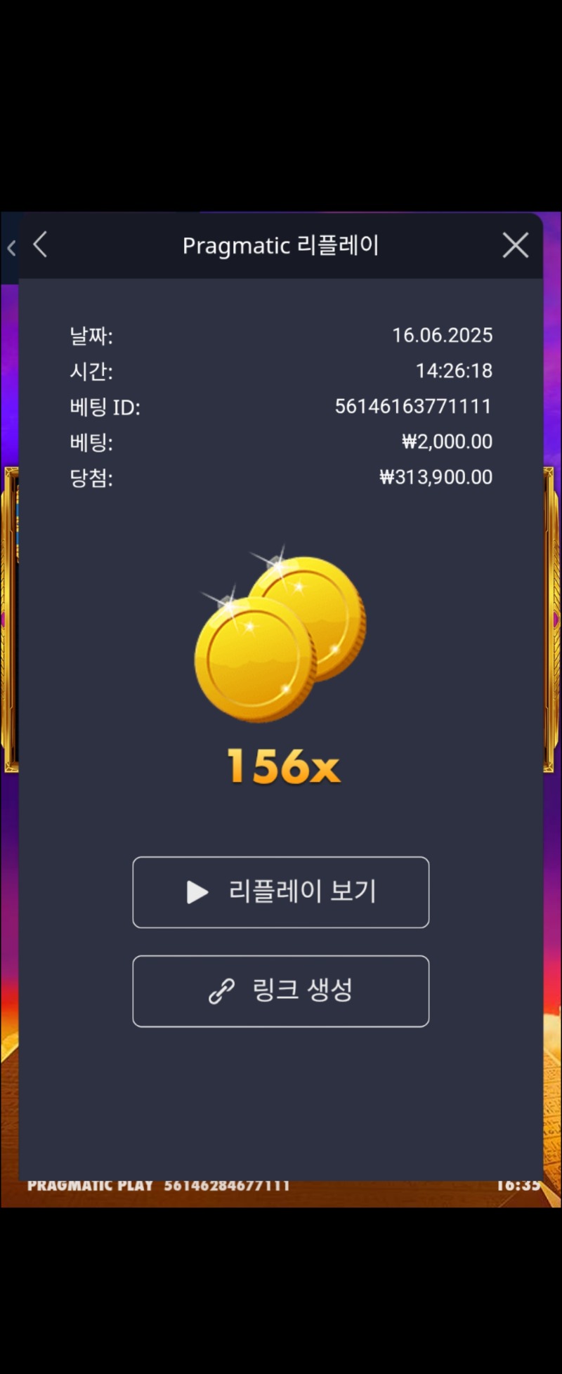 기자 156배