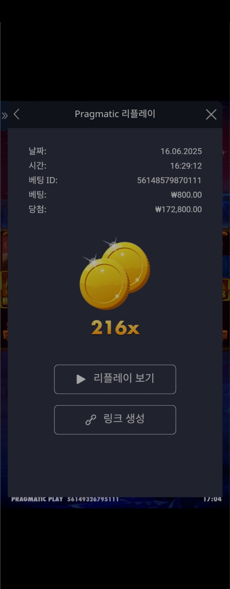 버메가216배