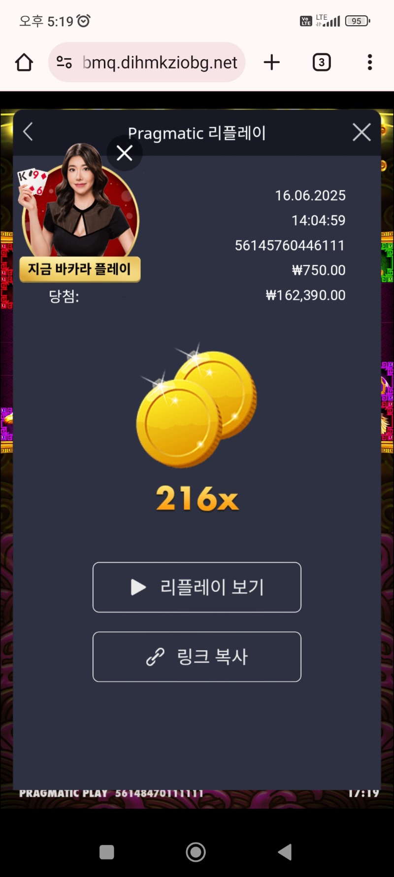 토라매 246배
